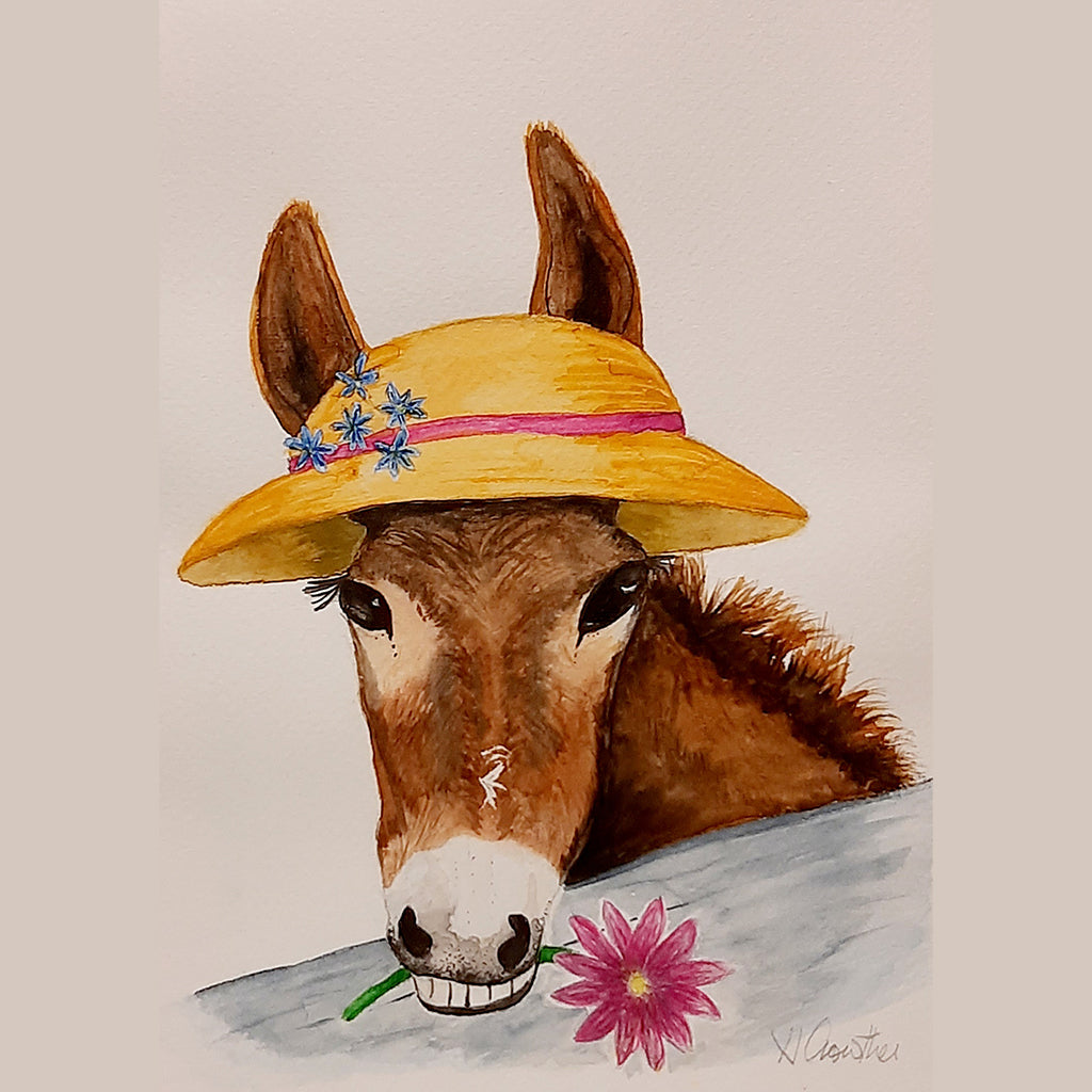Daisy Donkey