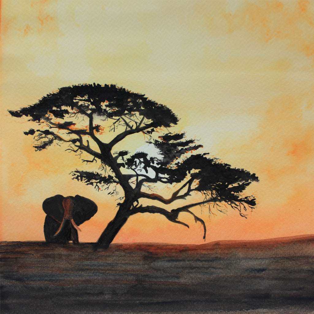 Tusker at Dusk