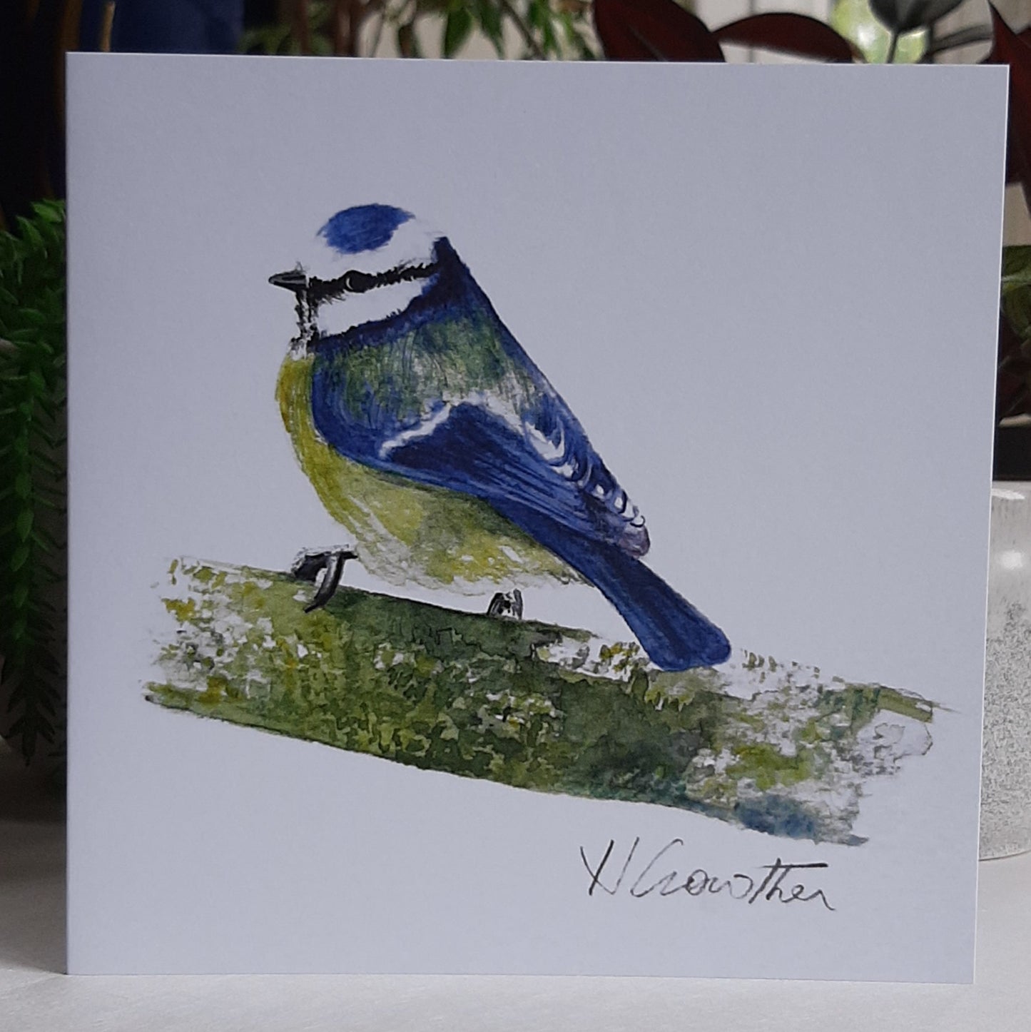 Greeting Cards