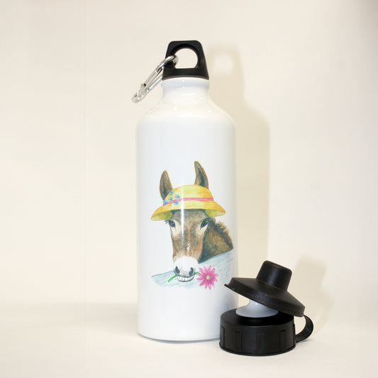 Aluminium Water Bottle