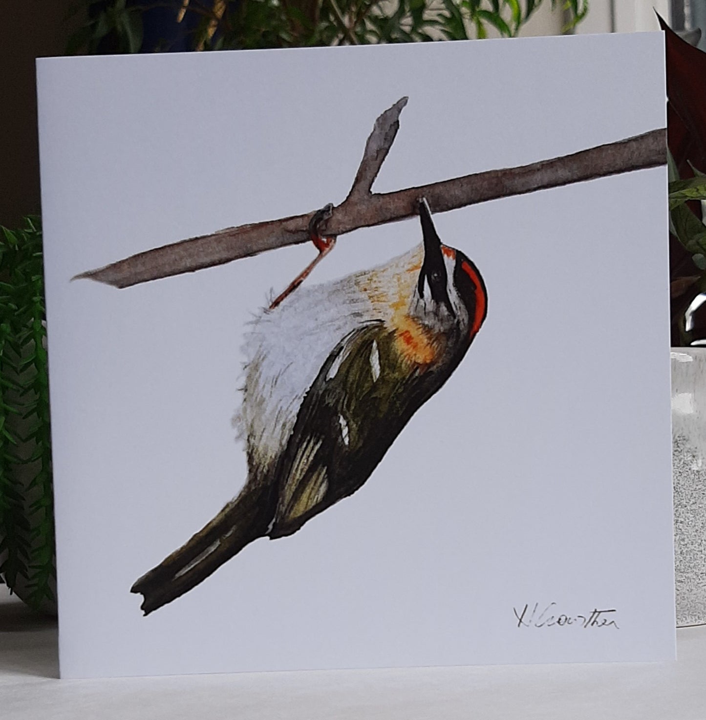 Greeting Cards