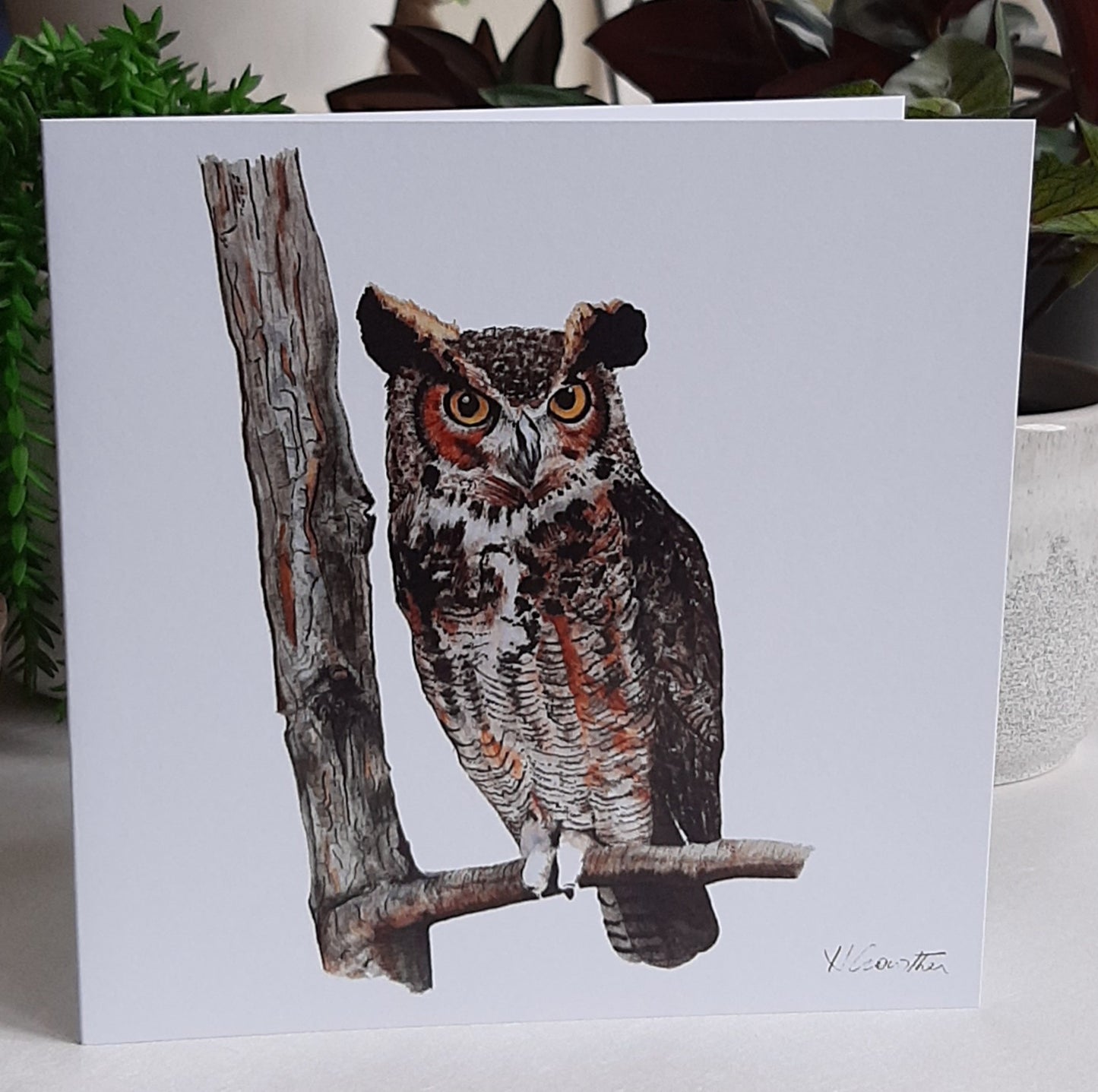 Greeting Cards