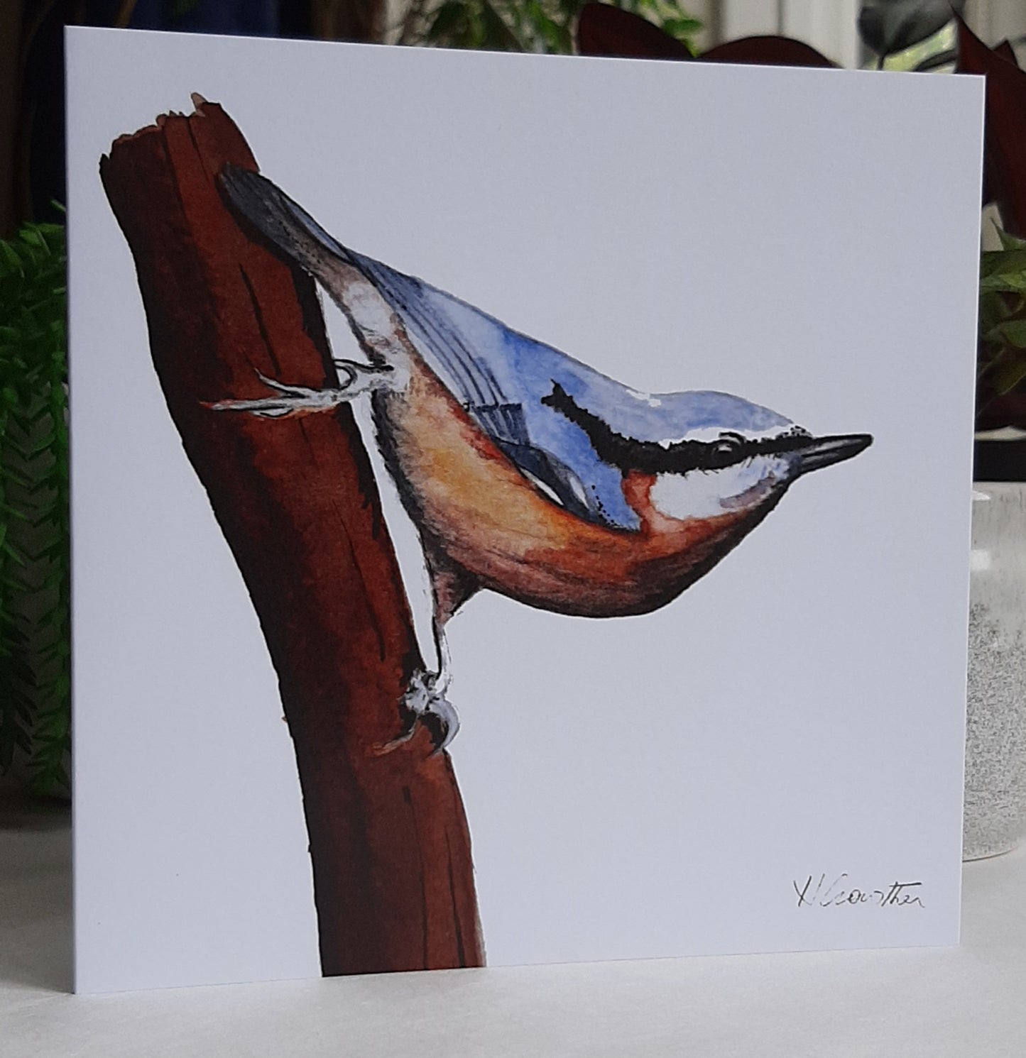 Greeting Cards